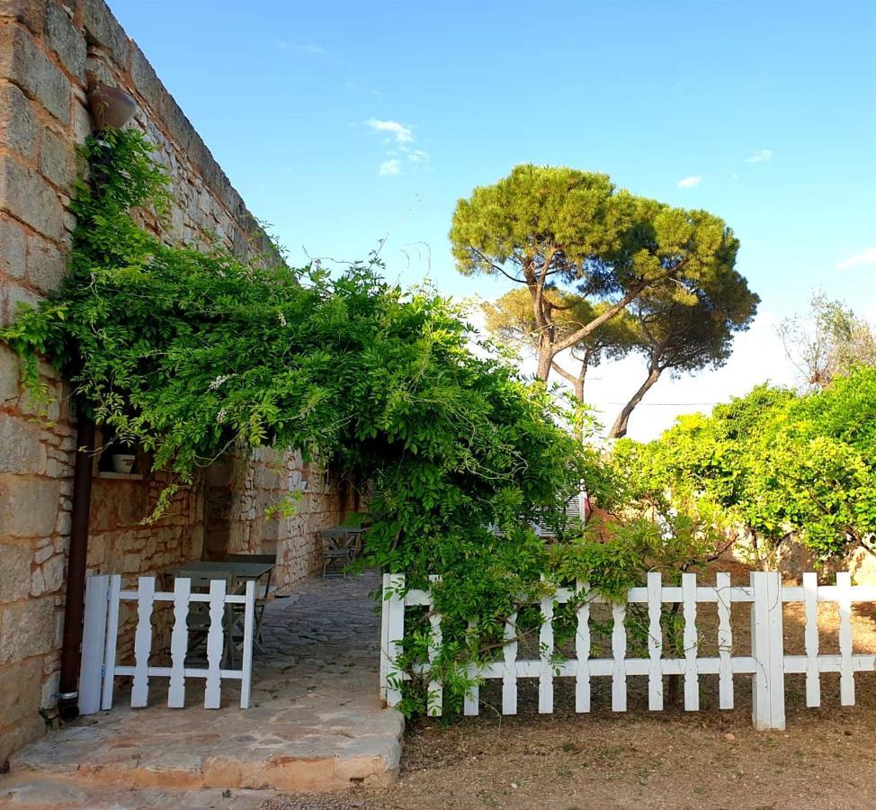 فرانكافيلا فونتانا Masseria Triticum المظهر الخارجي الصورة